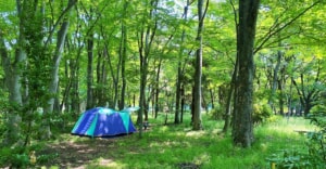 群馬【角渕キャンプ場】森の中での野営感が溢れる雰囲気抜群の無料キャンプ場を紹介