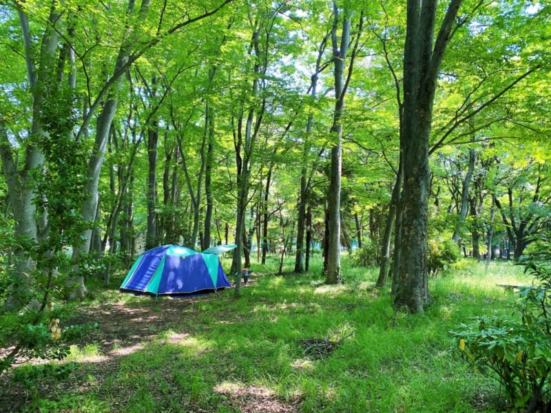 群馬【角渕キャンプ場】森の中での野営感が溢れる雰囲気抜群の無料キャンプ場を紹介 キャンプクエスト 