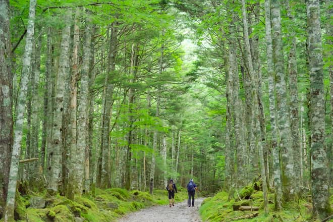 「赤岳鉱泉」へのアクセス方法