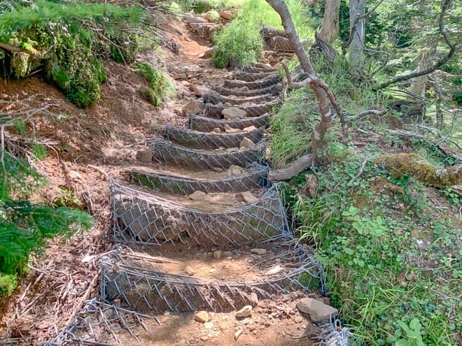 とはいえ土壌が脆く