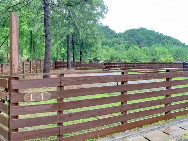 わんダフルネイチャーヴィレッジ2