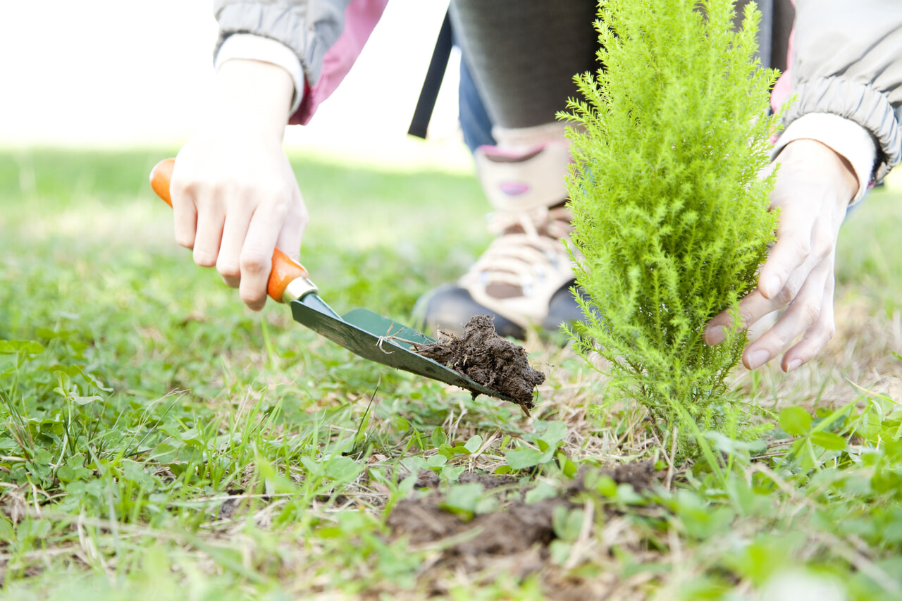 キャンパーがSDGsで出来る具体的なこと