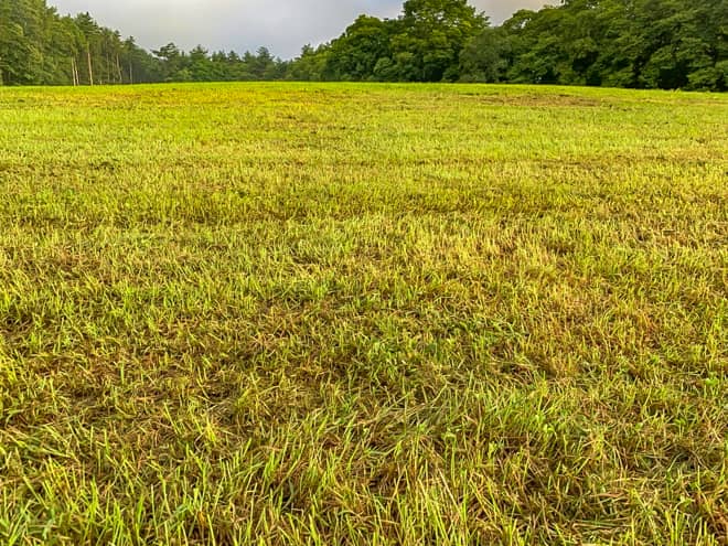 サイトの地面の特徴