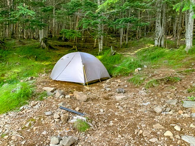 サイトの地面の特徴