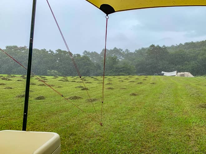 ペグの刺さり具合は？