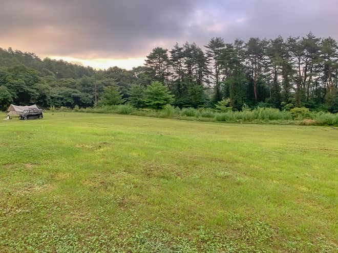 平日は全面フリーサイトになりお得