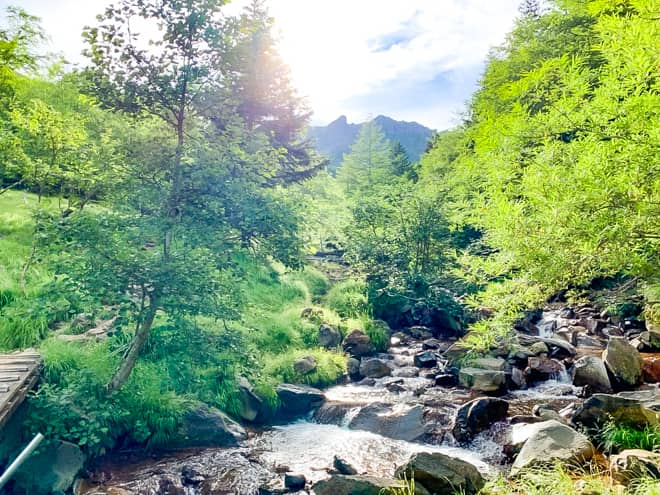 後半は景色が開けてきます