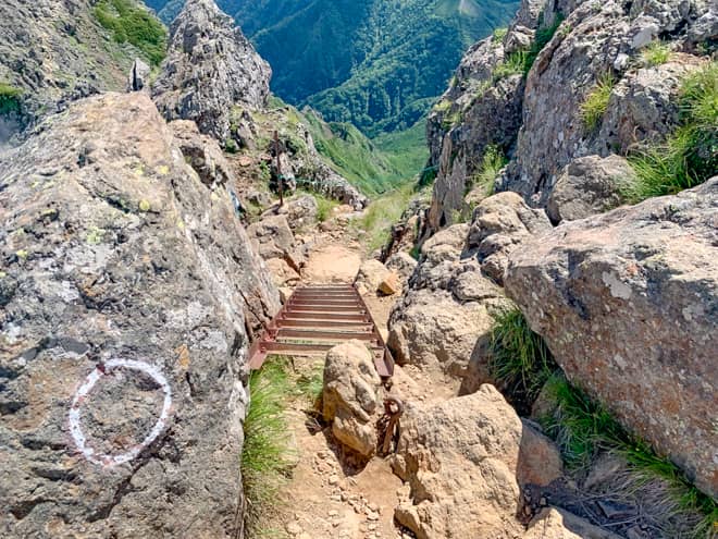 最後の梯子を登り終えると