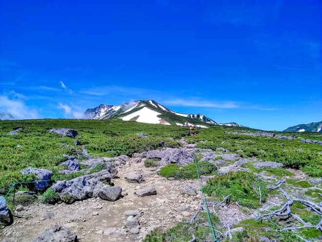 池 雪渓 稜線と山の魅力がてんこ盛り 白馬岳で絶景登山しませんか キャンプクエスト