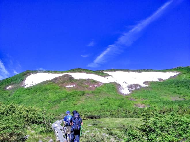 白馬岳木道