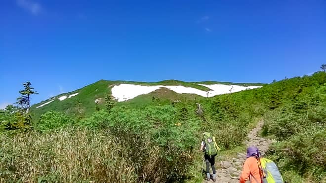 白馬岳森林限界