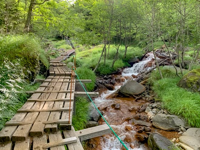 終盤にさしかかると赤色に見える沢の水
