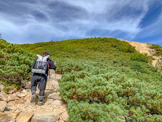 いつの間にか木々も無くなり