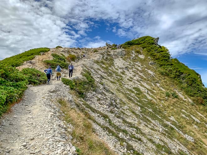 ここを登りきると山頂のように思えますが