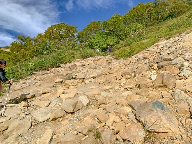 そして、樹林帯のトンネルが再び現れたりと