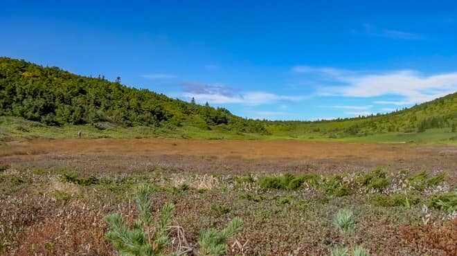 その場合、鎌沼まで約15分