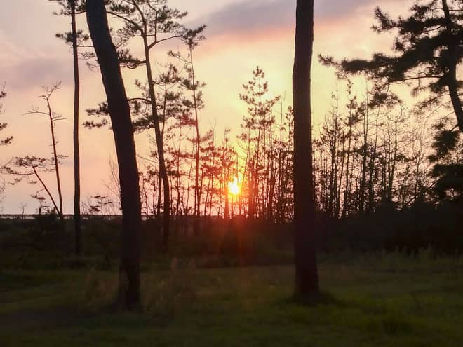 サイトから見る夕日