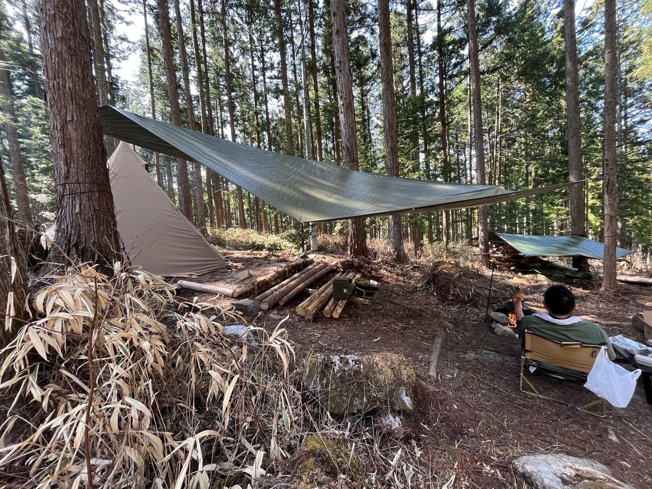 フォレンタタープ