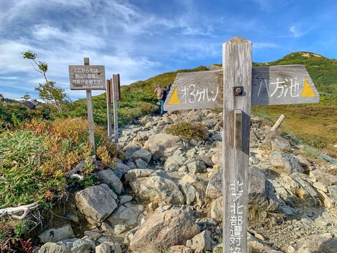 八方池 → 下の樺・上の樺