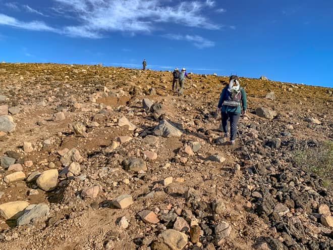 周りには茶色の景色が広がり