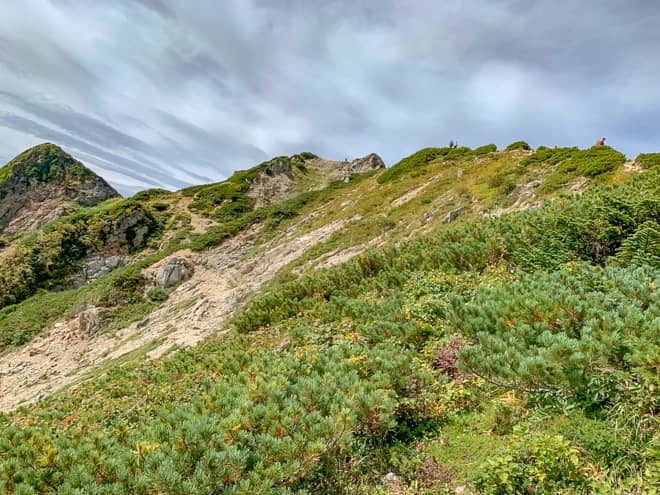 峰を超えると再び稜線です