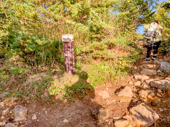 暫く進むと分岐に到着します