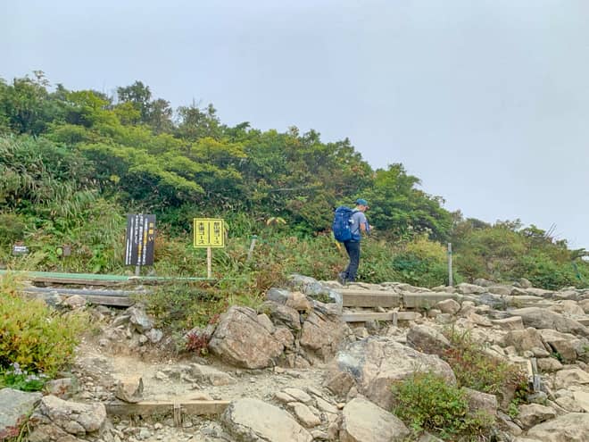 暫く進むと分岐に到着します