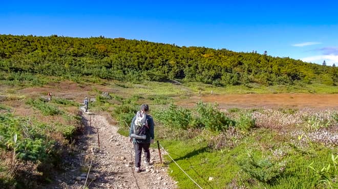 筆者はそのまま登山道に戻ってしまいましたが