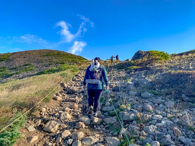 緑豊かだった景色から一変