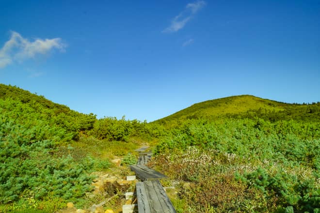階段を登りきると道がなだらかになり