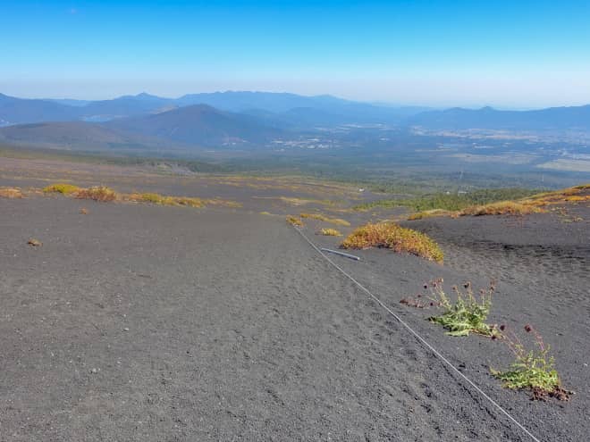 しかしそれ以上に楽しいのが