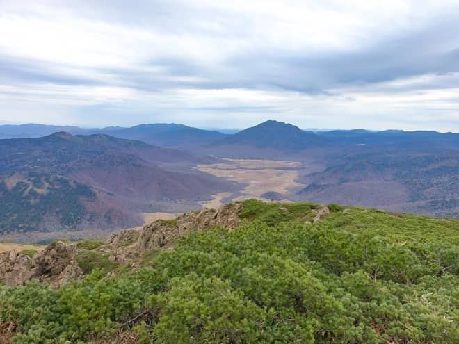 しかしなんといってもメインディッシュは