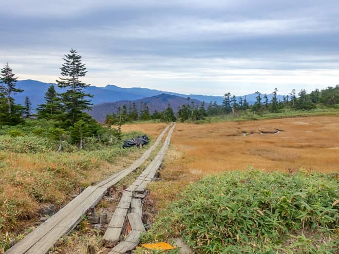 オヤマ沢田代に到着です