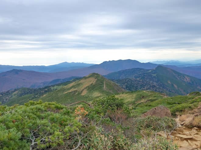 下山中は小至仏山を通過します
