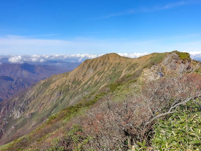 北側に目を向けると茂倉岳へ続く稜線が美しく