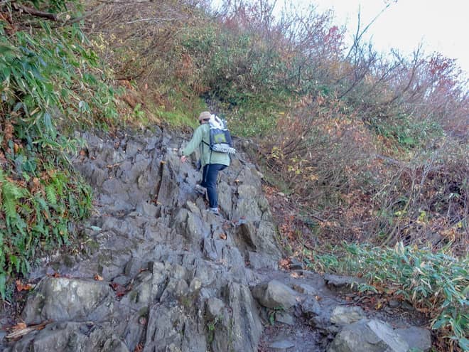 基本、緩やかな道のりとはいえ