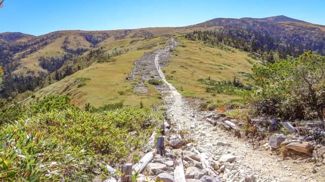 太郎平までの登山道