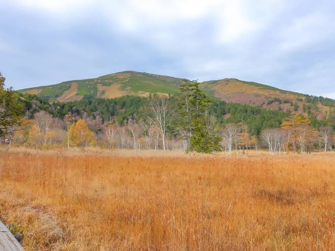 尾瀬には「至仏山」の他に「燧ヶ岳」「会津駒ヶ岳」