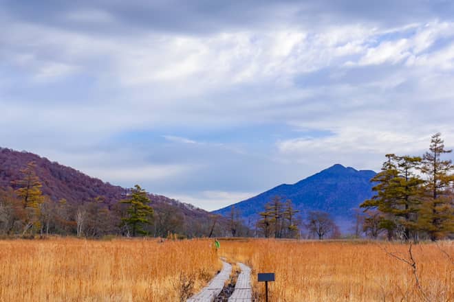 尾瀬ヶ原までは歩いて1分もかかりません