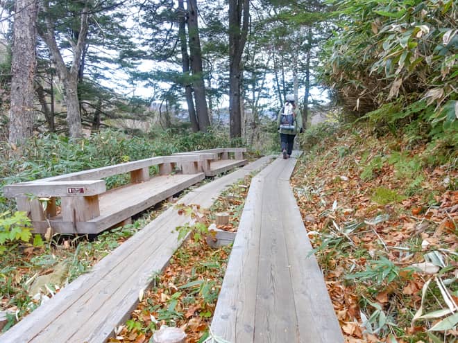 山の鼻までは木々に囲まれた木漏れ日の気持ち良い道です