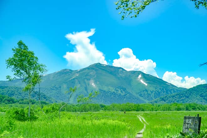 山体が「蛇紋岩」という岩で形成されている