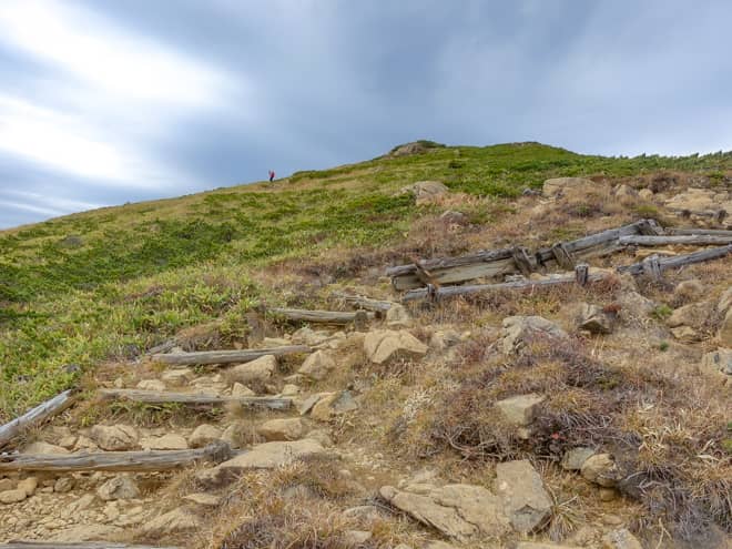 山頂までは、今までの直登とは異なり