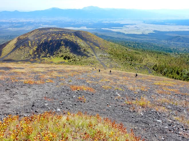 後ろを振り返ると、如何に急登か
