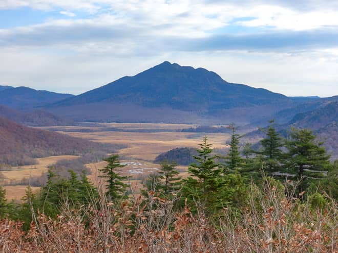 後ろを振り返ると、待ちに待った