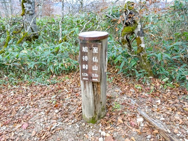 所々に標識があり