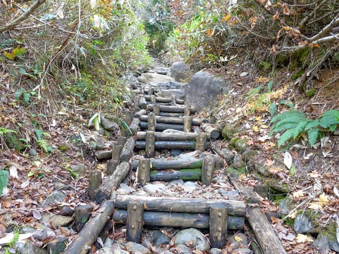 暫くは木道や階段が続きます