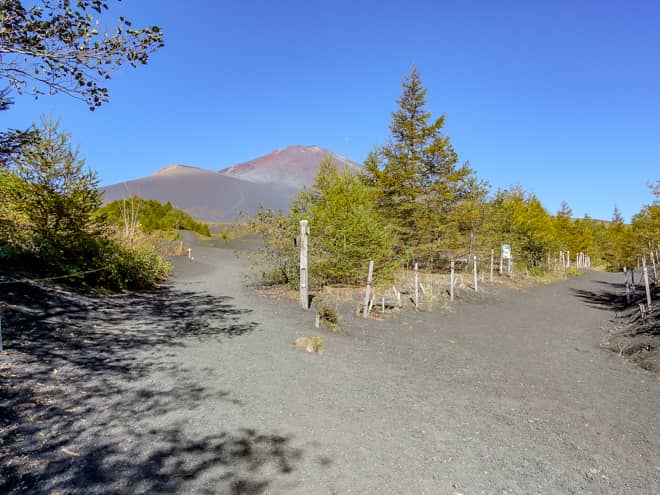 暫く歩くと分岐が見えてきます