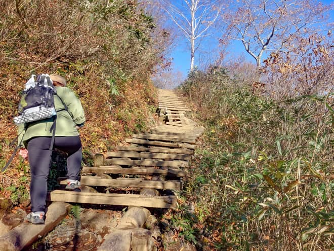 木製の登り易い階段があったりと