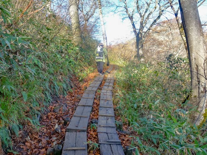 木道が整備されていて歩きやすい道のりですが