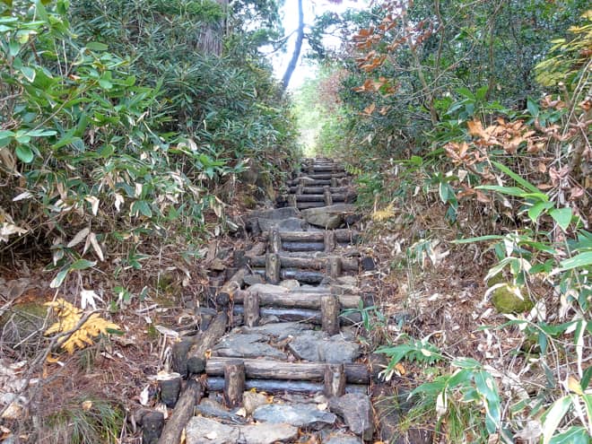 本当に1直線の道のりで